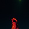 track image - F*ck My Life Up Again