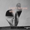 track image - I Can't Tell You Why
