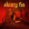 track image - Twinkle (Skinty Fia Sessions)