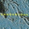 track image - Wild Grasses