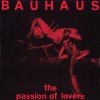 track image - The Passion of Lovers