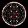 track image - Amaryllis