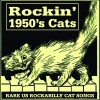 track image - Cool Cat