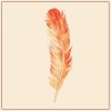 track image - Featherweight