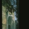 track image - Windfall