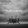 track image - Cadamario (feat. Peter Erskine & Nir Felder)