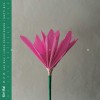 track image - adad