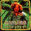 track image - Mambo