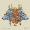 track image - SALT
