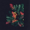 track image - Othona