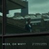 track image - PSNW