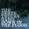 track image - Down In the Flood
