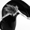 track image - Taranta (feat. Ludovico Einaudi)