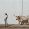 track image - Mexico Honey