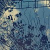 track image - Mono no Aware