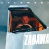 track image - Zabawa (Catz 'n Dogz Remix) (feat. Catz 'n Dogz)