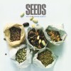 track image - Seeds
