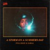 track image - A Storm On A Summers Day (feat. GAIDAA)