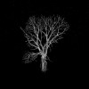 track image - Bloom Innocent