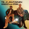 track image - Til A Mawnin (feat. Sting)
