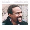 track image - Dream of a Lifetime
