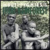 track image - Second Song of the Elima, the Women’s Society