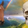track image - Murder