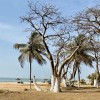 track image - Gambia