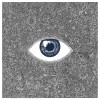 track image - Cosmos in Blue