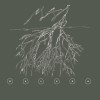 track image - Tino