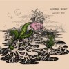 track image - Dom