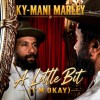 track image - A Little Bit (I'm Okay)