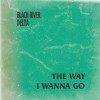 track image - The Way I Wanna Go