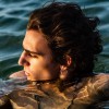 track image - Habibi