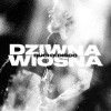 Światła miasta