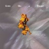 track image - Gone Like A Flower