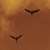 track image - Serenity
