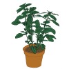track image - allez, pousse!