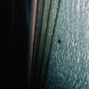 track image - Only Trying 2 Tell U