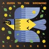 track image - Rufous Fishing Owl (Cerrero Remix)
