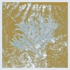 track image - Promises Of Fertility