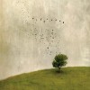 track image - Wake Me Up When September Ends