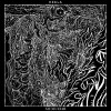 track image - The Whole