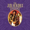 track image - Voodoo Child (Slight Return) (Live at the Royal Albert Hall, London, UK, February 24, 1969)