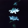 track image - Even If I Tried