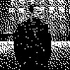 track image - Halucynacje