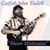 track image - Mean Mistreater (Live)