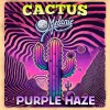 track image - Purple Haze (Temple Of Blues Version) feat. Melanie