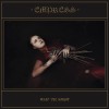 track image - Wait 'til Night