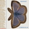 track image - Common Blue